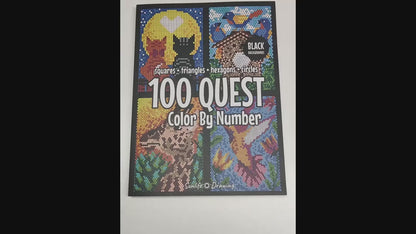 100 QUEST Color by Numbers Book